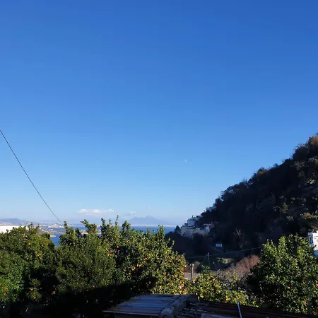 Sweet Home La Chicca Ischia Exterior photo