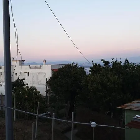 Sweet Home La Chicca Ischia Exterior photo